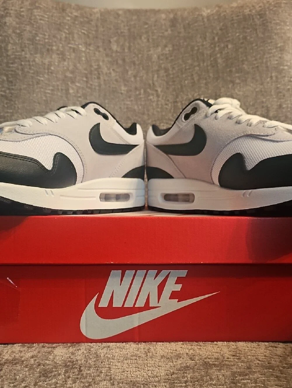 Nike Men’s Air Max 1 ESS